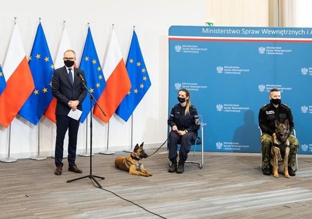 psy w służbie