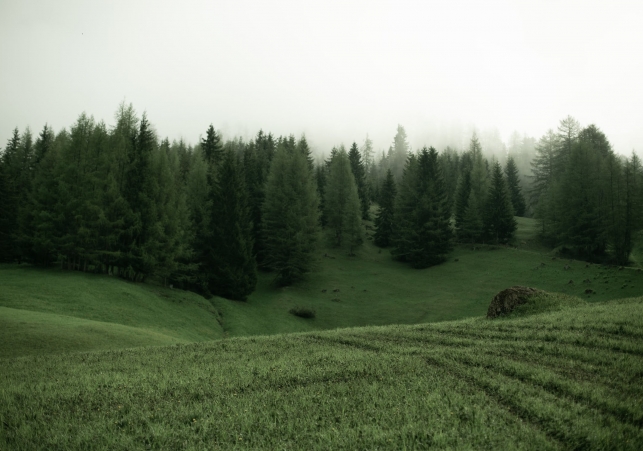 bieszczady
