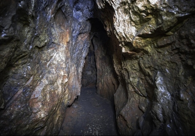 Neanderthals